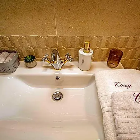 Aparthotel Cozy Unique In Brașov